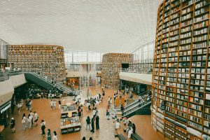 thaoantran0101-books-7744938_1920